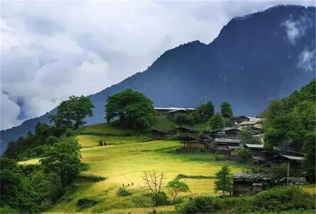 怒江會(huì)議旅游：一路向北，沿江尋大美怒江